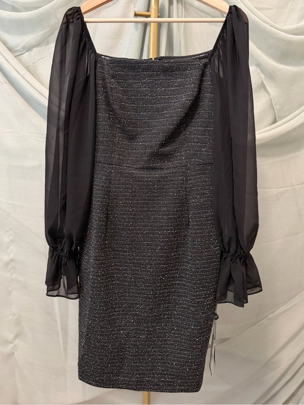 Adrianna Papell Black Dress with Sheer Sleeves
